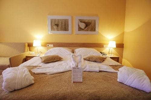 Hotel Breza 4* - Terme Olimia - funtravel.rs