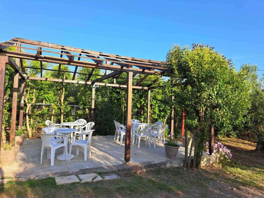 Paradiso-Dionisos-2