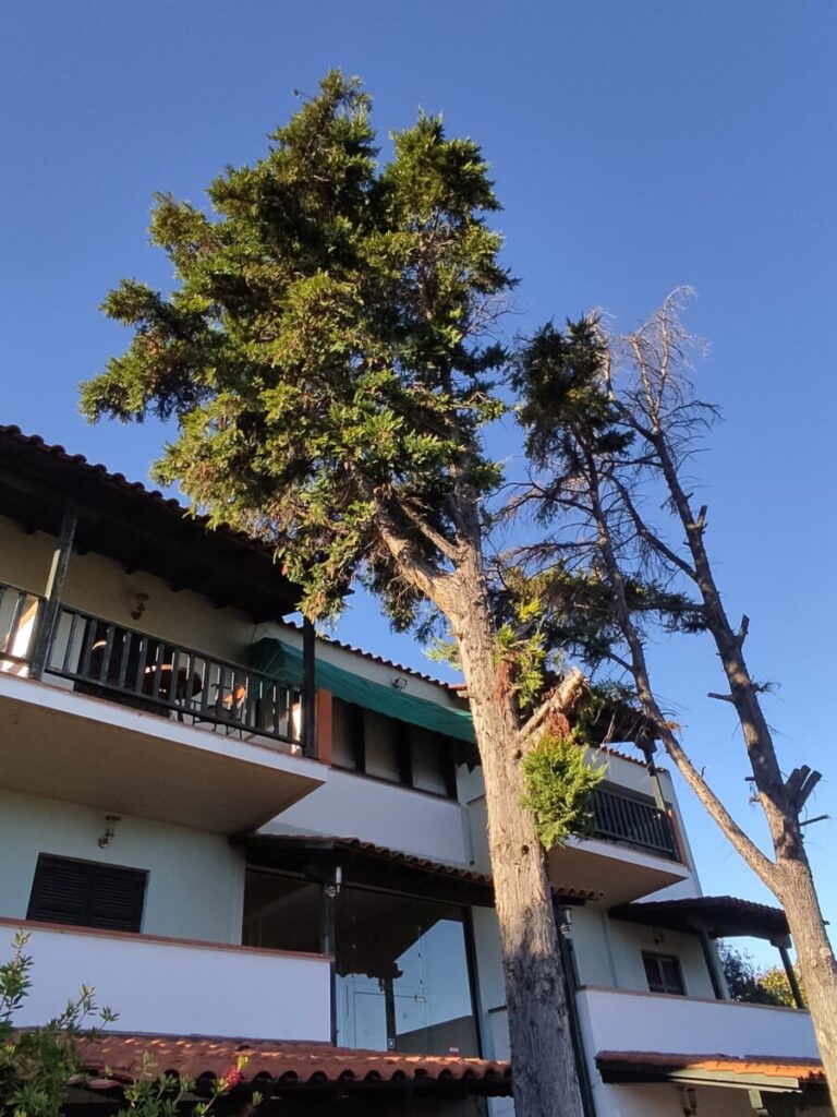 Apart Hotel Eden Afitos * Fun Travel Agency