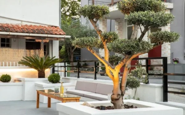 Chrisanthi Leptokarija, Grcka leto * Fun Travel Agency