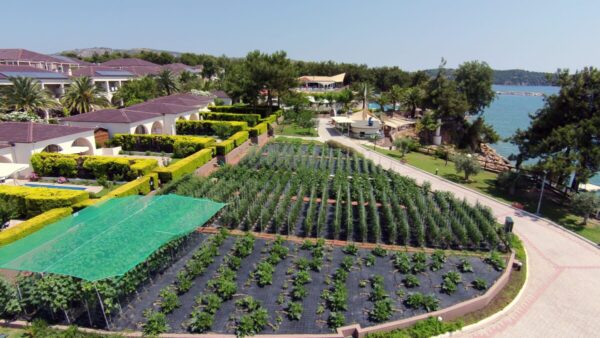 alexandra-beach-hotel-tasos-potos-2