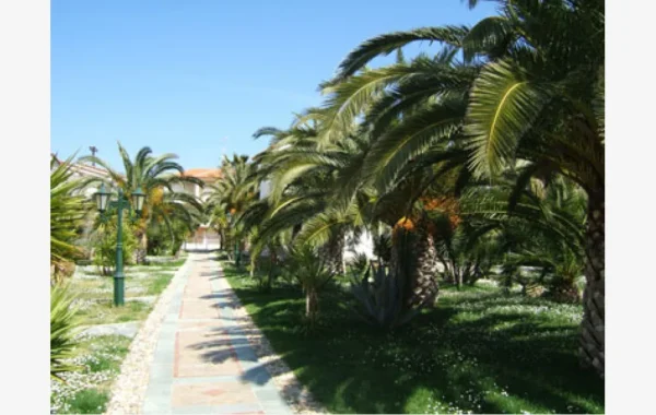 pilalidis-pefkohori-10