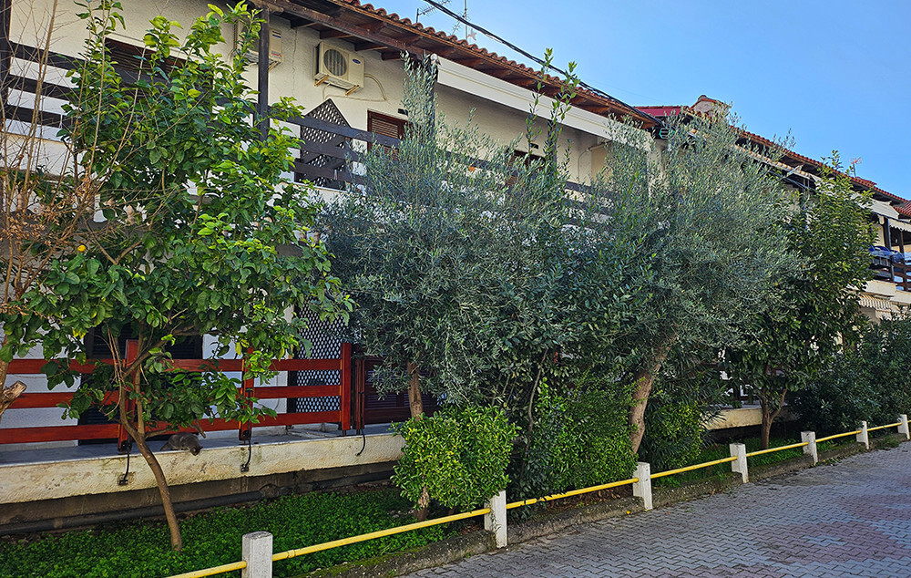 Vila Keti, Pefkohori leto 2026