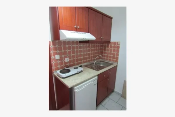 vila-nik-popi-leptokarija-13