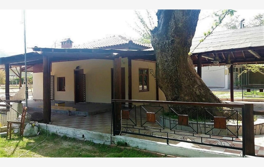 Vila Platanos, Stavros leto 2026