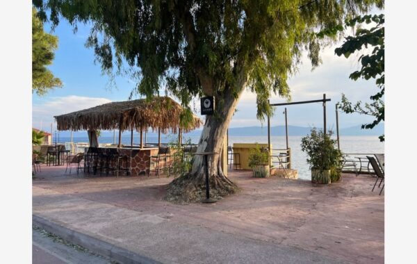 Vila Marvella Sea View, Edipsos leto * Fun Travel Agency